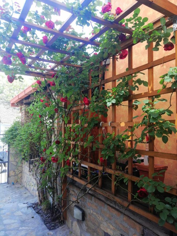 Nest Otel Belgrad Dış mekan fotoğraf