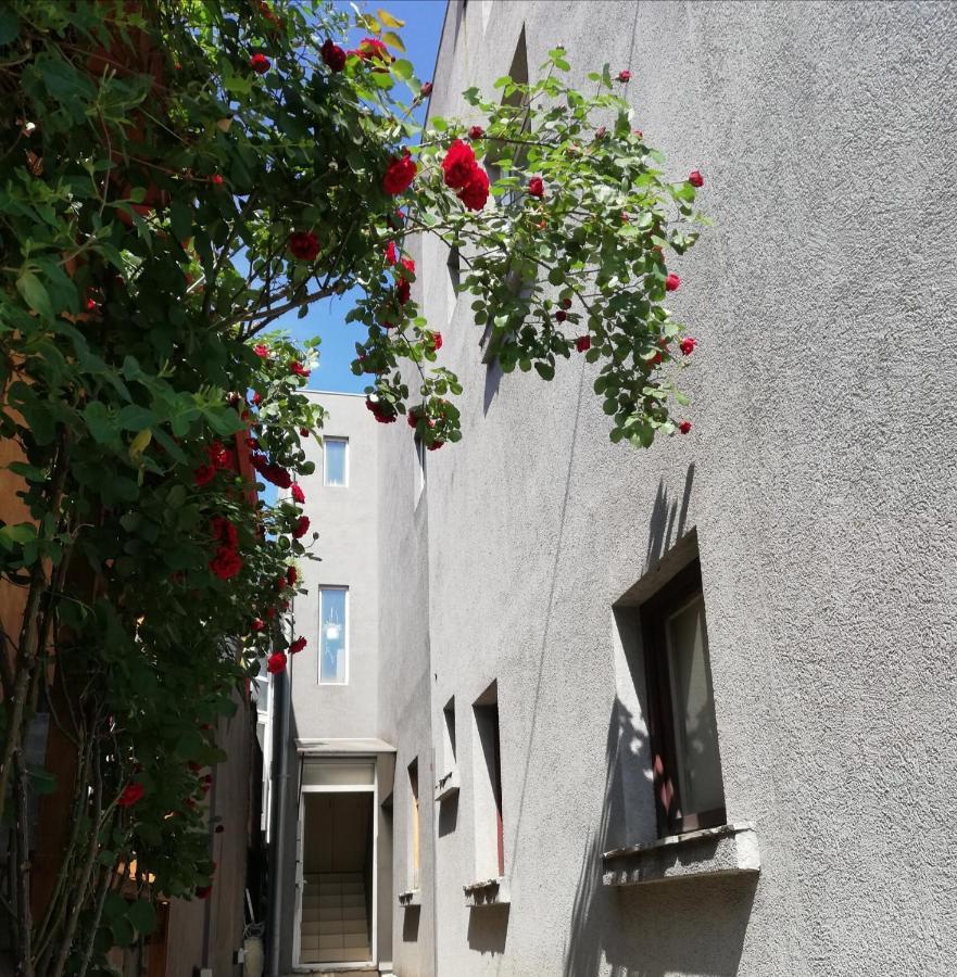 Nest Otel Belgrad Dış mekan fotoğraf